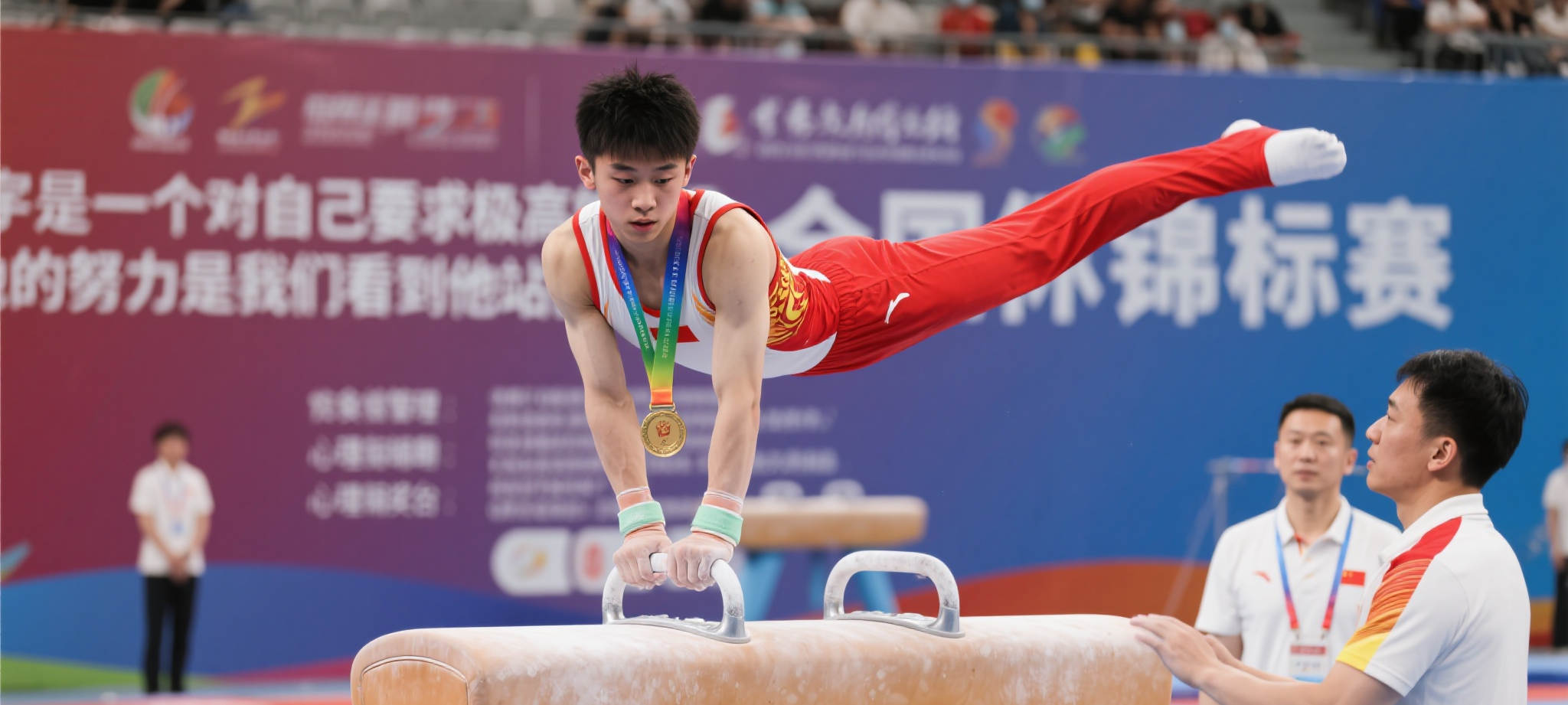 乐鱼体育app简介